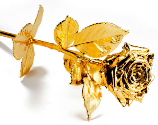 Gold-dipped-rose-Sharps-Pixley