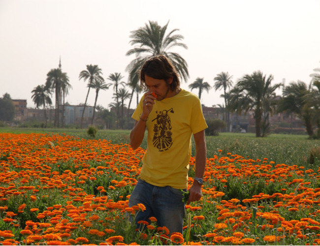 Pukka herbs explores the benefits of the marigold flower.