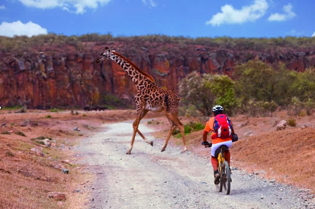 Ultimate Cycle Safari in Tanzania