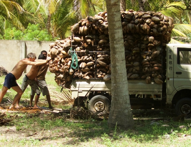 Mamboz coconut truck