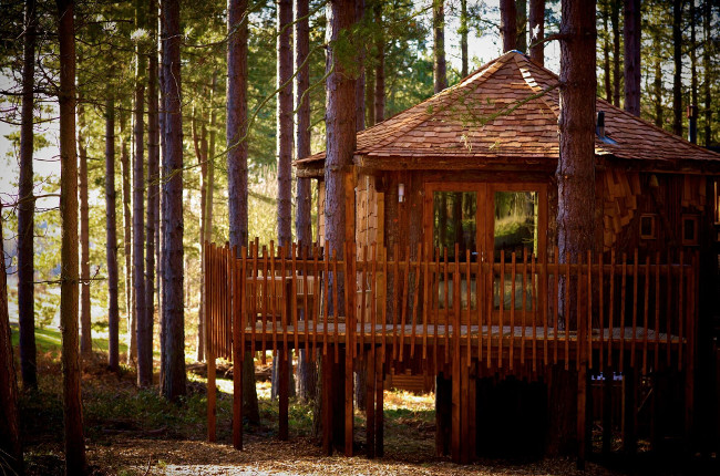 Forest Holidays Treehouse - Sherwood Forest