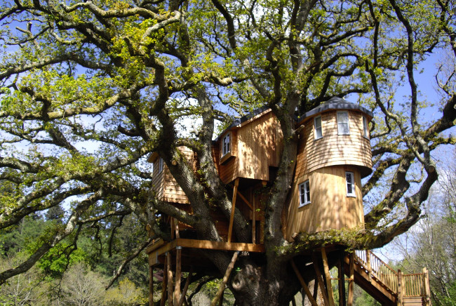 Fox and Hounds Treehouse