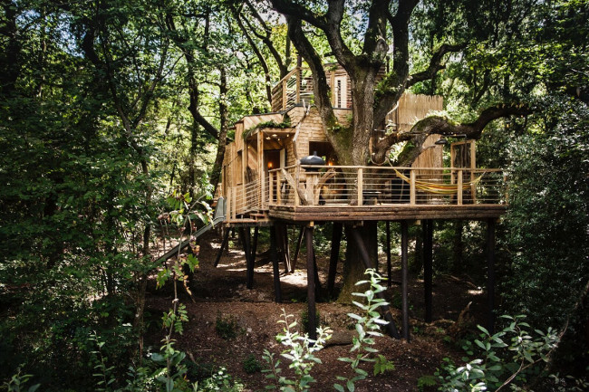 The Woodmans Treehouse 1