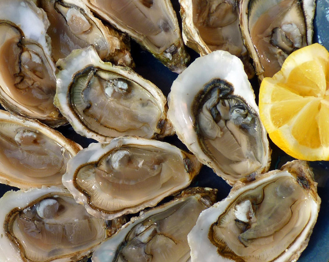 oysters-