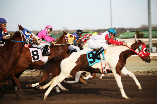 horse-racing