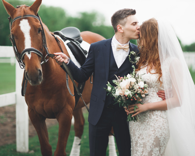 Bride and groom in forest with horses. Wedding couple. Beautiful portrait in nature.