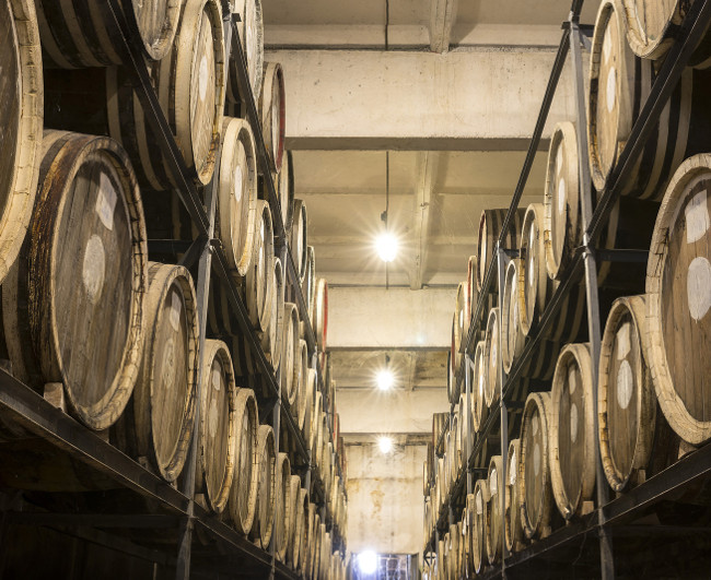 Scotch Whisky Barrel rows. Whiskey and brandy distillery. Oak barrel used to age whiskey.