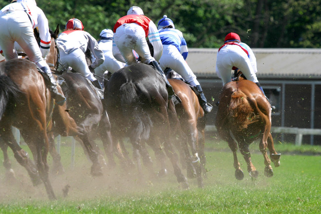horses rounding the turn on the race-track