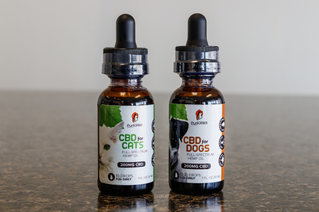Muncie - Circa March 2019: CBD Oil marketed for Cats and Dogs. The popularity of CBD oil as a medicinal product has skyrocketed II