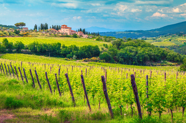 Amazing wine grower territory and vineyard with house on the hill, Chianti region, Tuscany, Italy, Europe