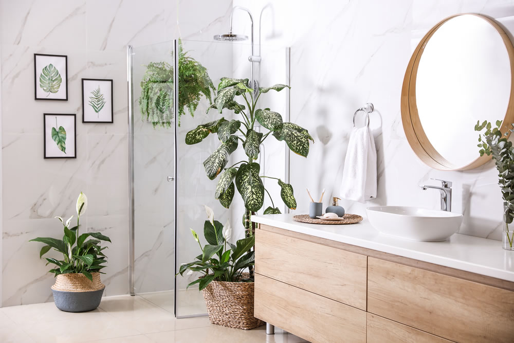 luxury bathroom with indoor plants