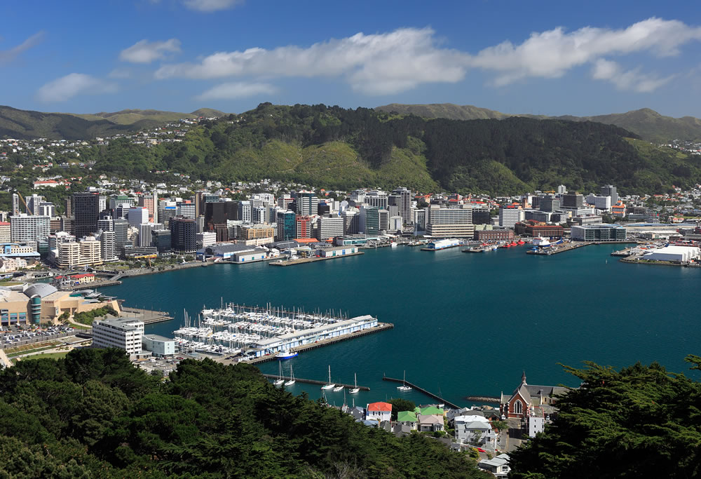Central Wellington from Mount Victoria. The capital city of New Zealand.