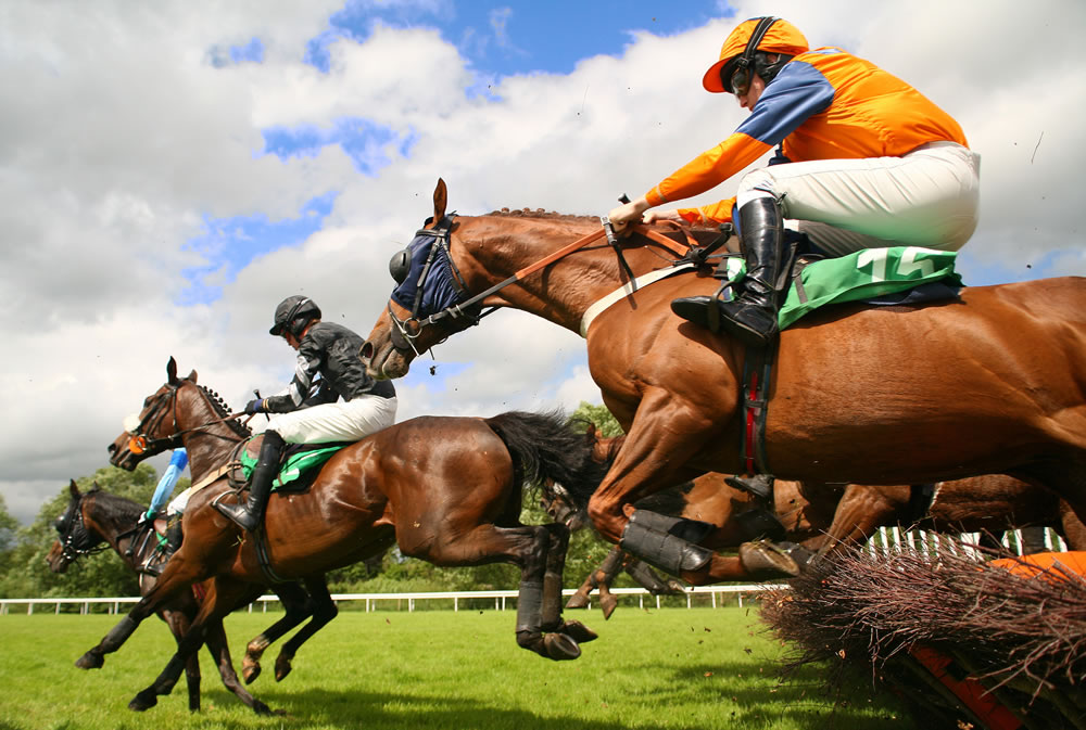 horse race jumping