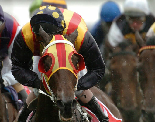 bigstock-Horse-Racing-Winning-1649215