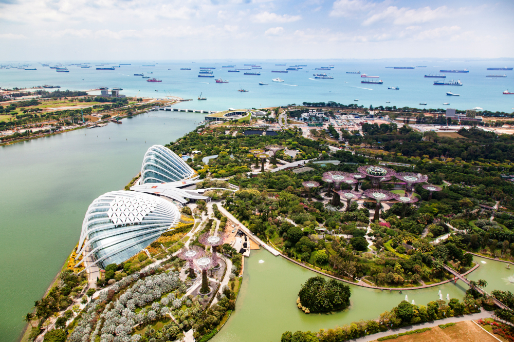 aerial view of Singapore City skyline with Gardens by the Bay