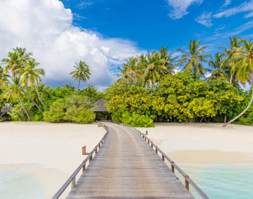 Tropical Beach, Maldives
