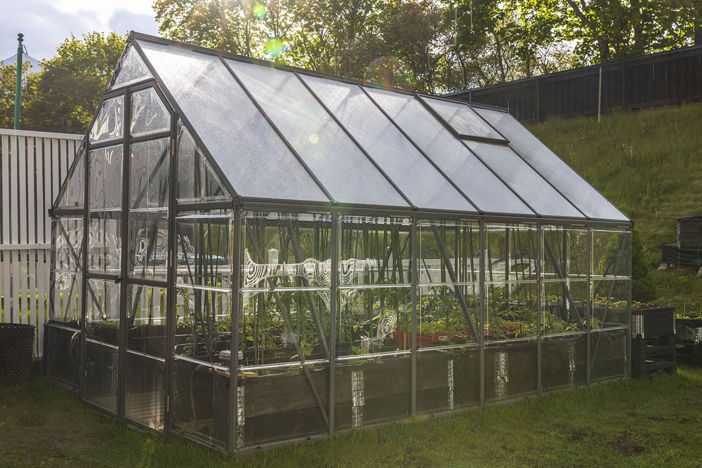 greenhouse in garden