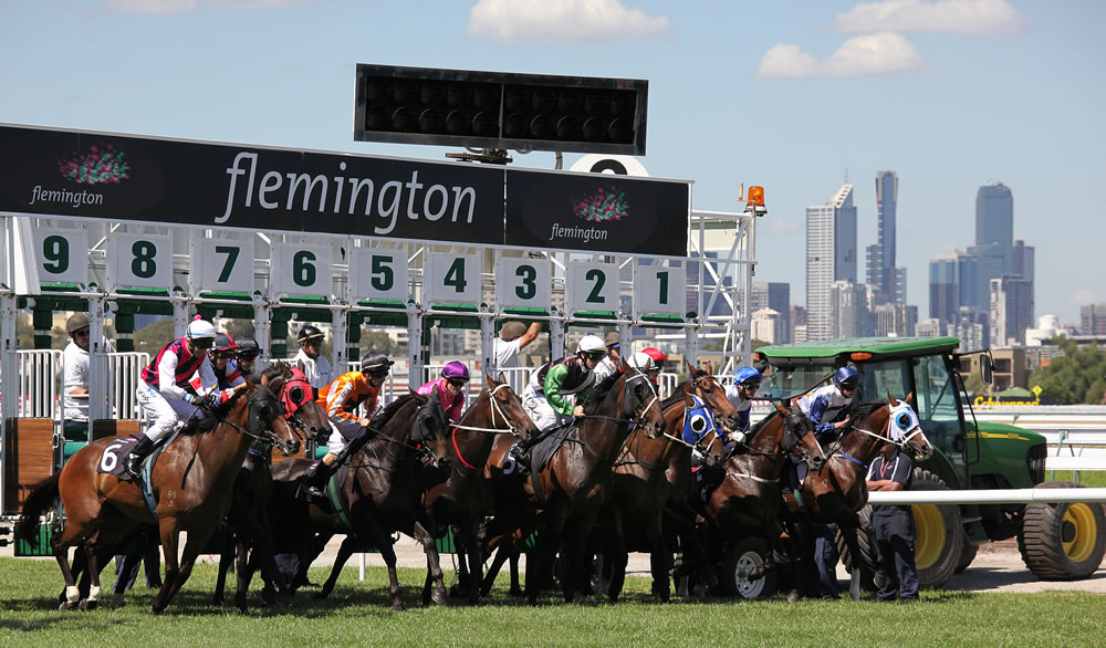 Horses jump from the starting stalls in the Roy Higgins Quality, won by Elmore at Flemington