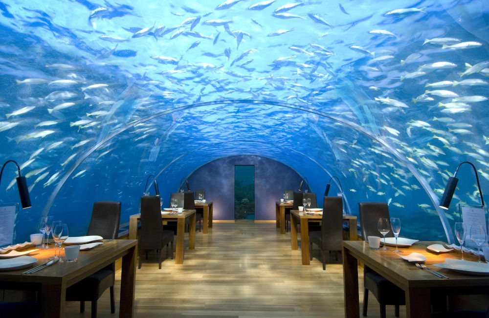 Conrad Maldives Ithaa Undersea Restaurant