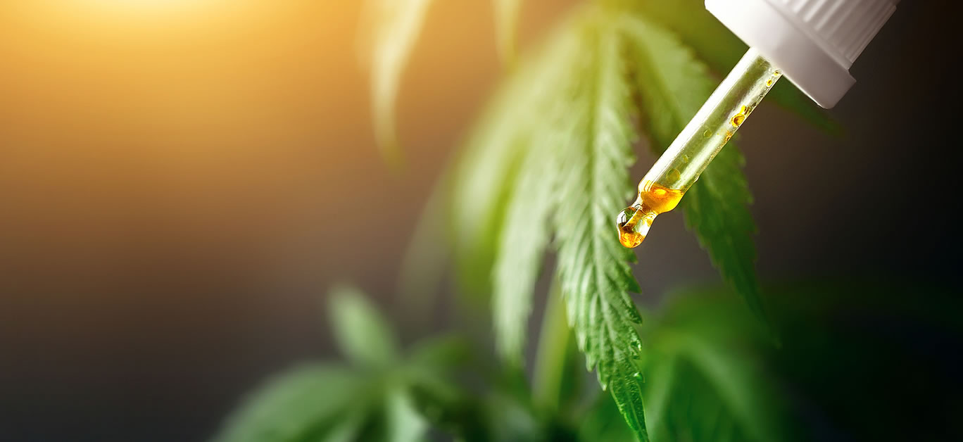 CBD cannabis droplet dosing a biological and ecological hemp plant herbal pharmaceutical CBD oil from Cannabidiol