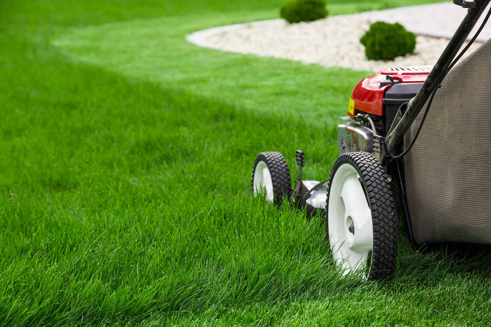 Photograph of lawn mower on lash green grass