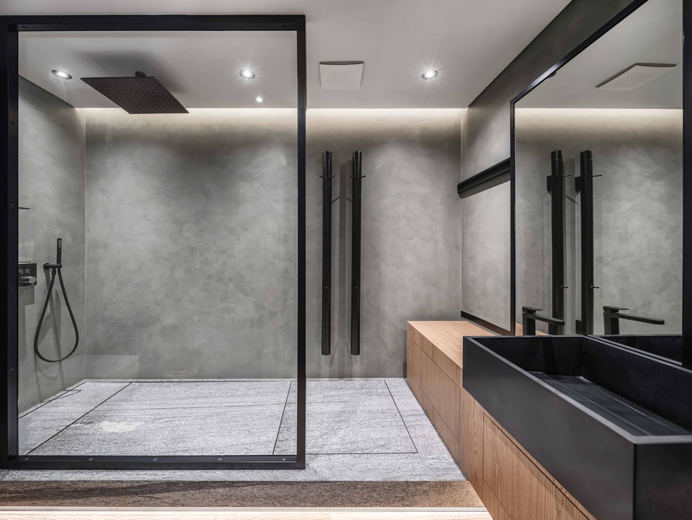 luxury shower room