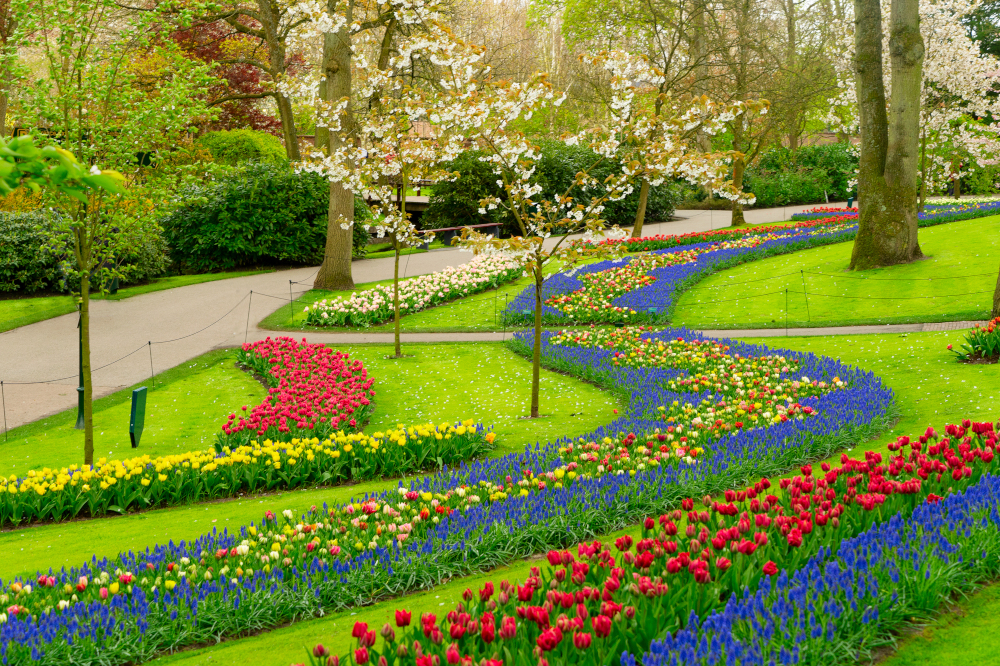 Amsterdam gardens