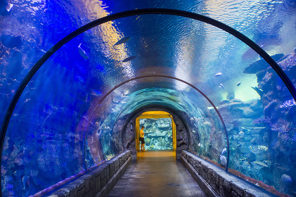 The Shark Reef Aquarium at Mandalay Bay hotel and casino in Las Vegas