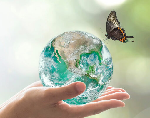 sustainable ecology and environmental friendly concept with green earth planet on volunteer's woman hands