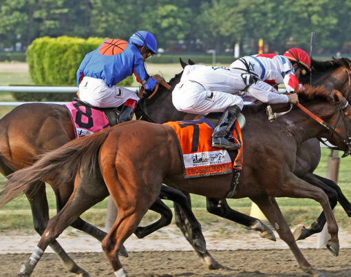 Belmont Stakes at Belmont Park