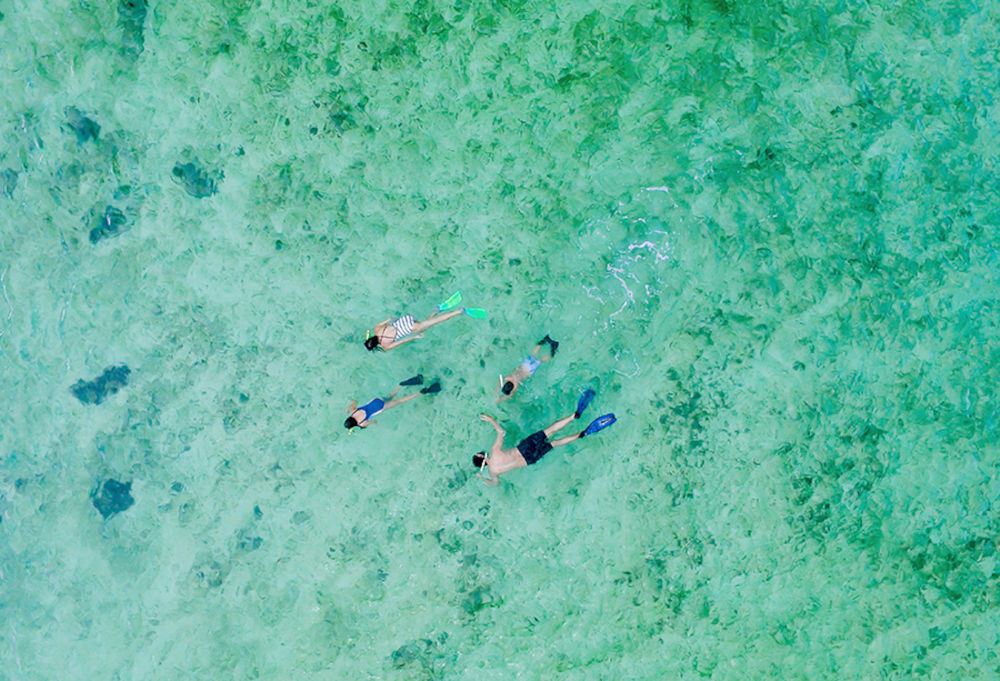snorkeling in fiji