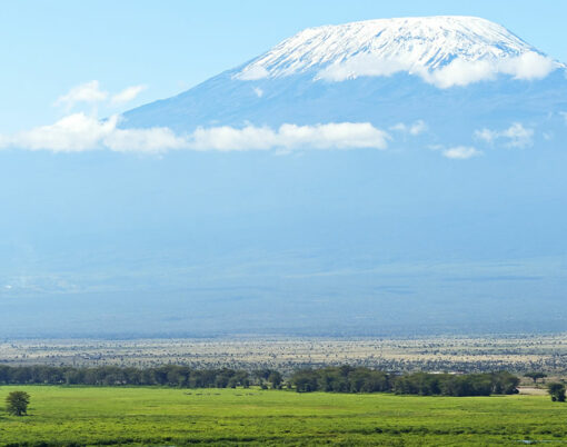 Mount Kilimanjaro in the African savannah in Kenya