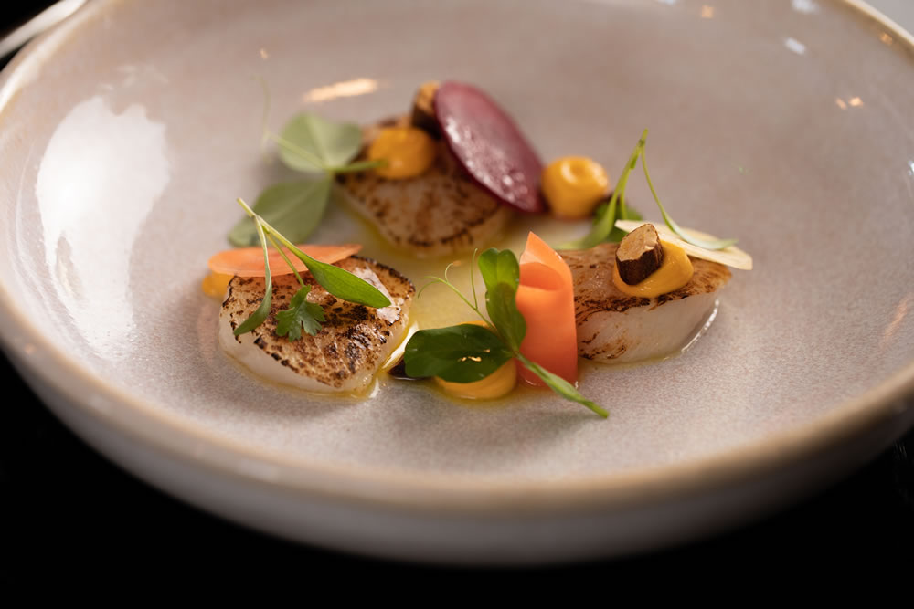Hand Dived Orkney Scallops, Pickled Garden Carrot, Curry Mayonnaise, from the tasting menu at Pentonbridge Inn