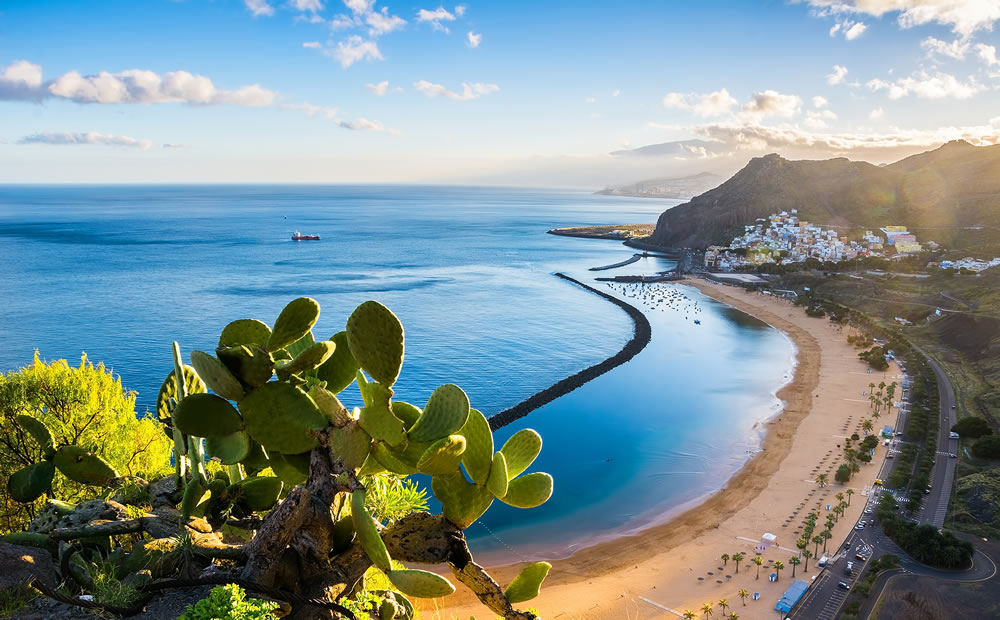 Santa Cruz de Tenerife Tenerife Canary Islands