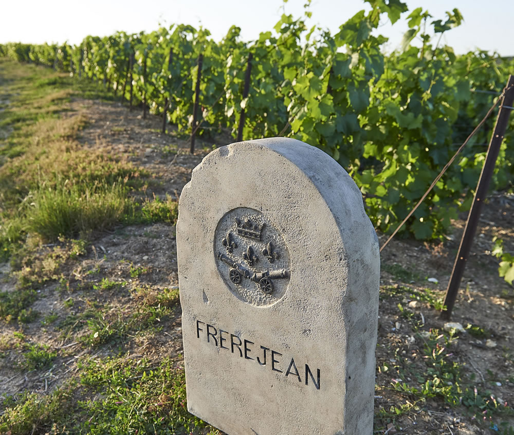 Frerejean Frères stone in vineyard