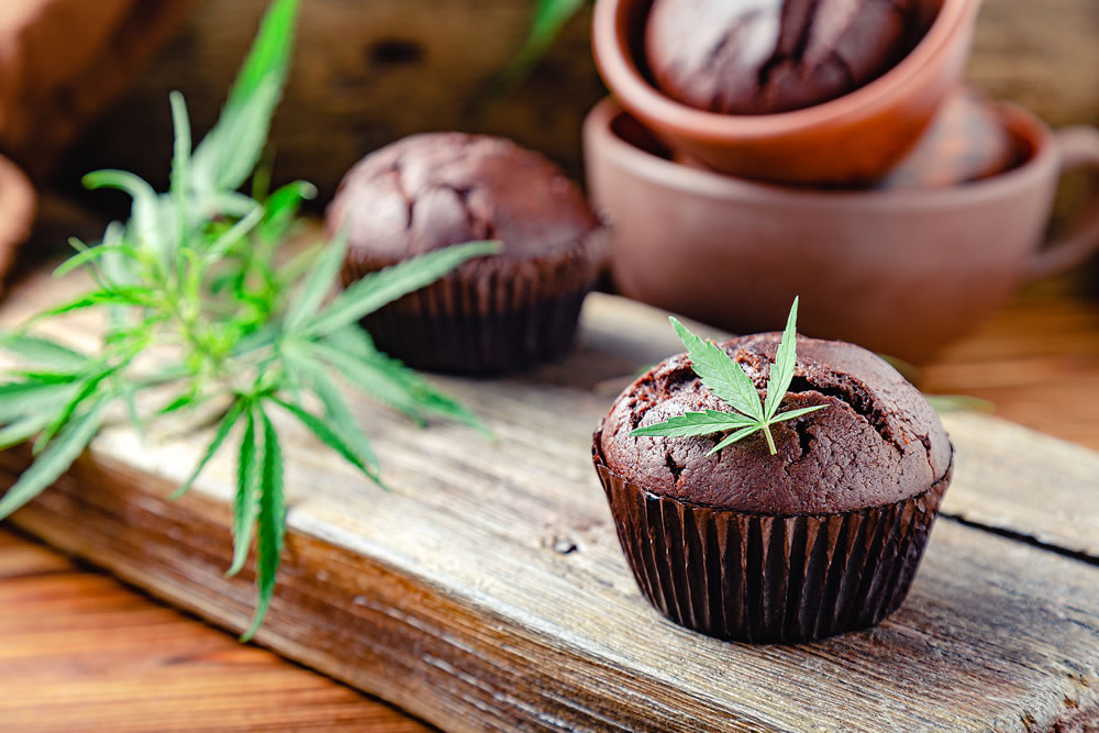 Marijuana chocolate cupcake muffins with cannabis leaves weed cbd