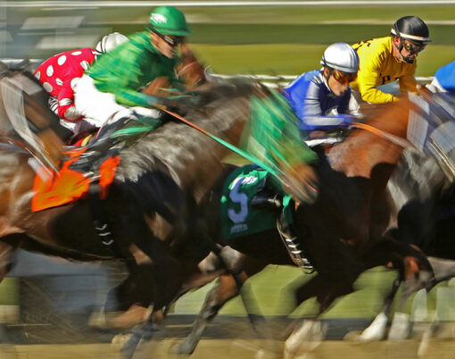 A field of thoroughbred horses breaks from the gate in a claiming race at historic Santa Anita Park