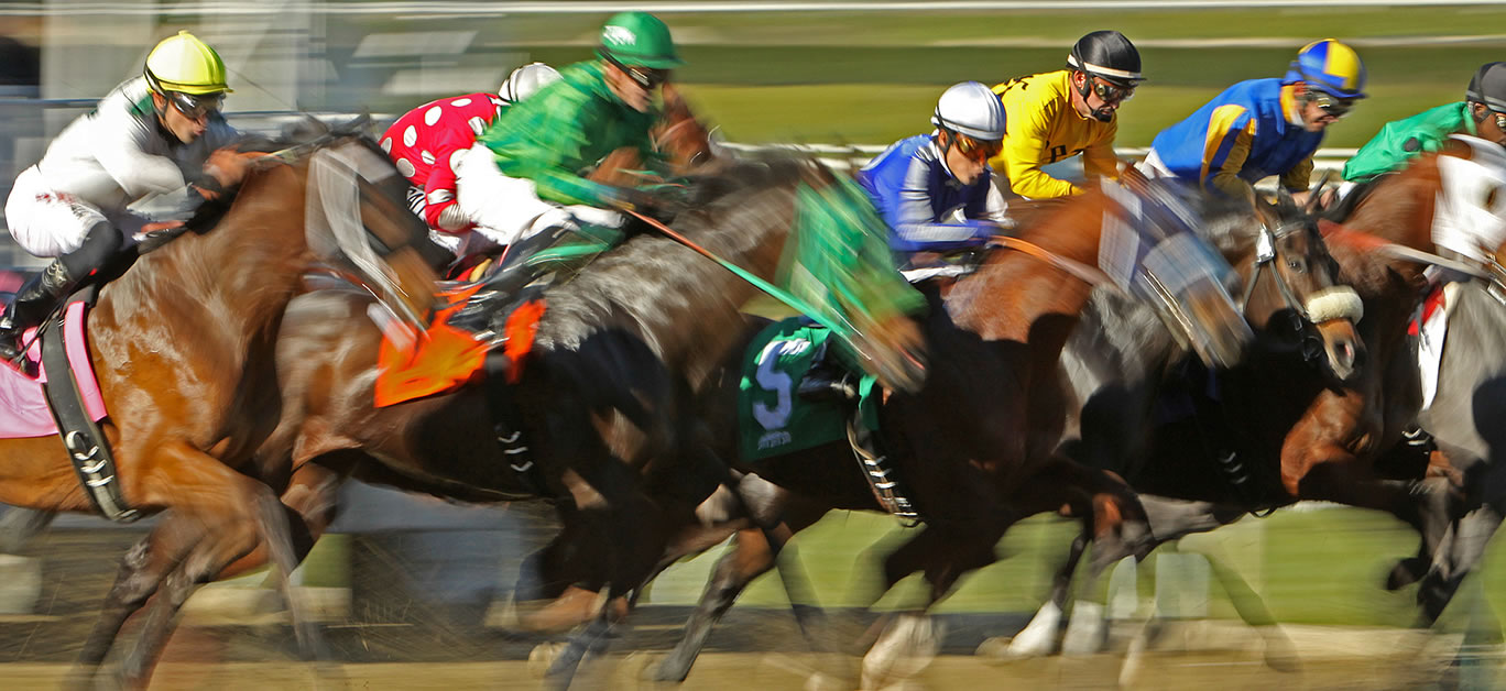 A field of thoroughbred horses breaks from the gate in a claiming race at historic Santa Anita Park