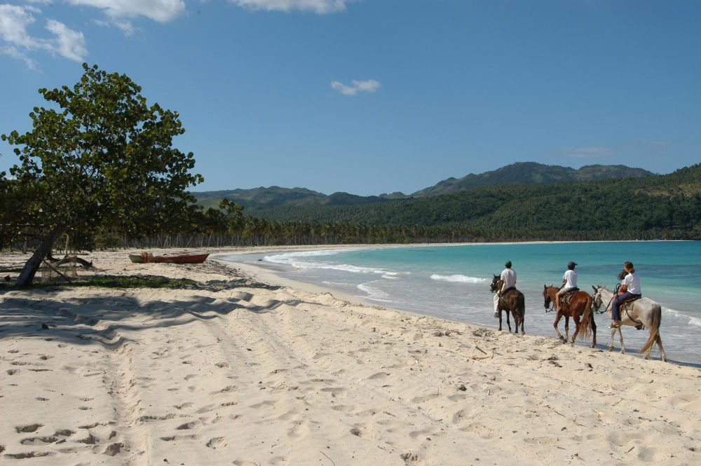 phuket beach horses