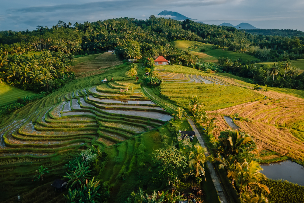 Countryside in Bali island