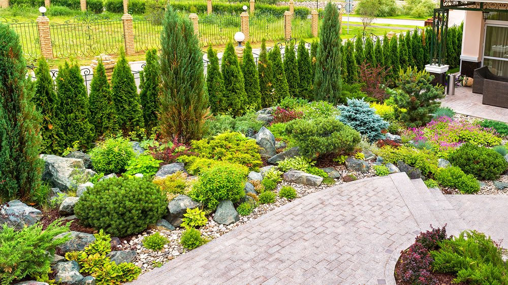 Landscaping panorama of home garden