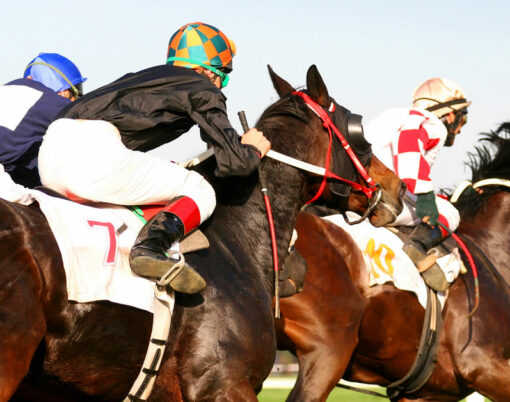 horse race with thoroughbreds and jockeys on the hippodrom
