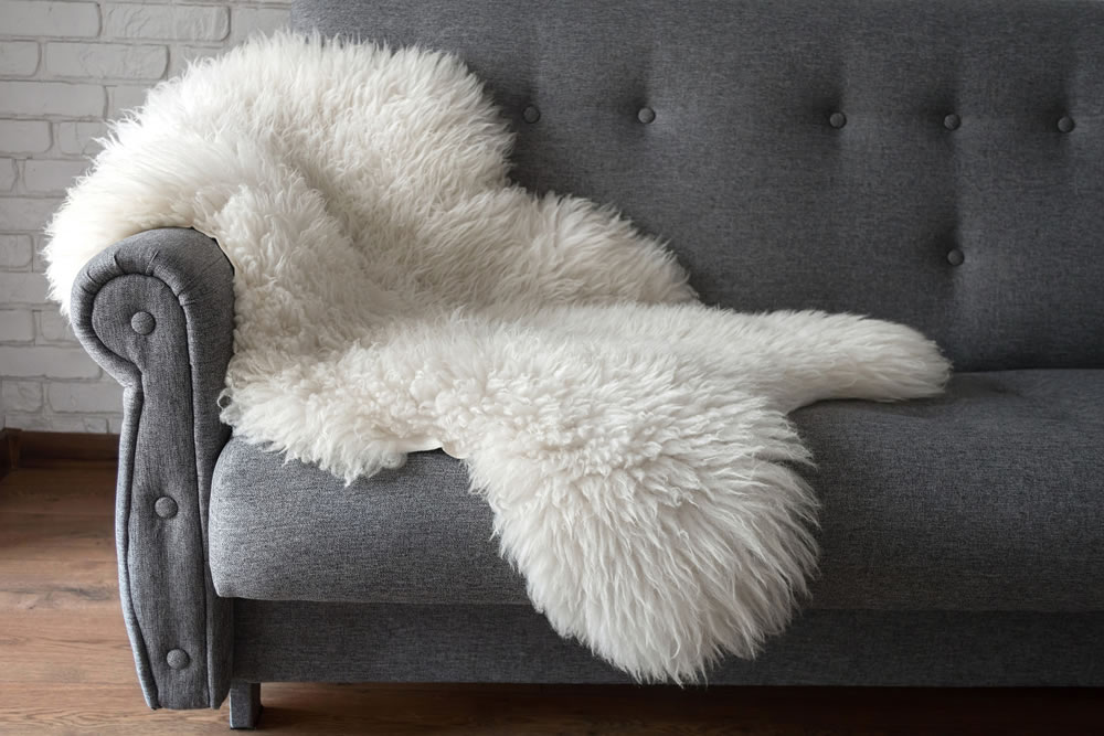 White sheep skin on a gray sofa. A cozy place to relax in the apartment. Modern Scandinavian style interior