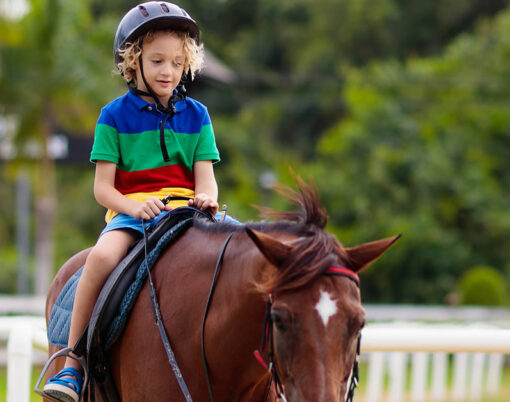 Kids ride horse. Child on pony in tropical resort. Horseback riding lesson for young jockey in equestrian school or club.
