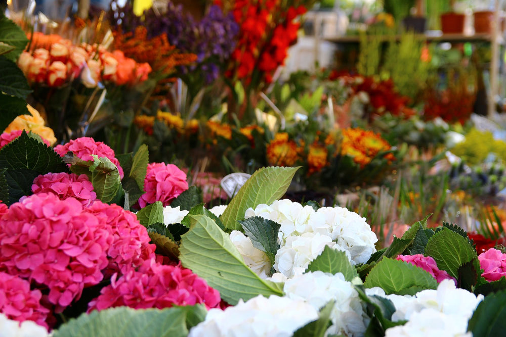 Columbia Road flower market