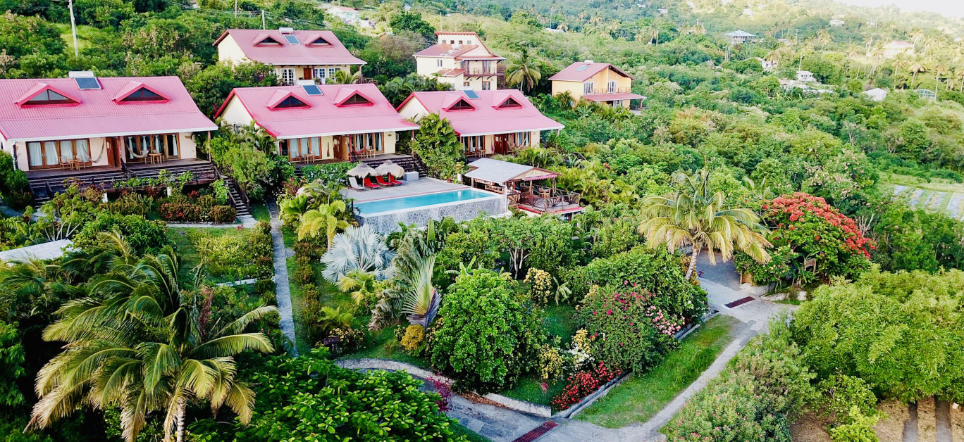 tet rouge st lucia