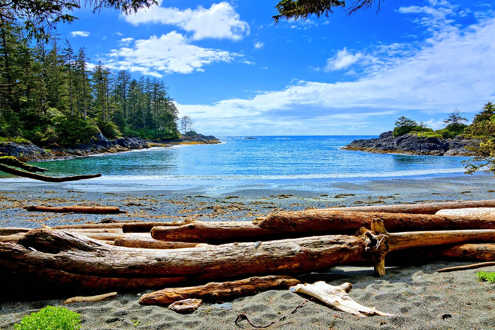 Blue water and skies along the coast of Pacific Rim National Park Vancouver Island BC Canada