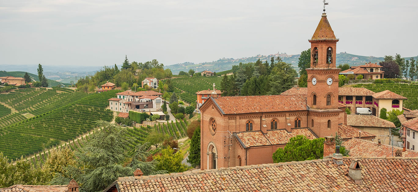 View of Serralunga d\'Alba church with vineyards, Piemonte, Langhe wine district and Unesco heritage, Italy