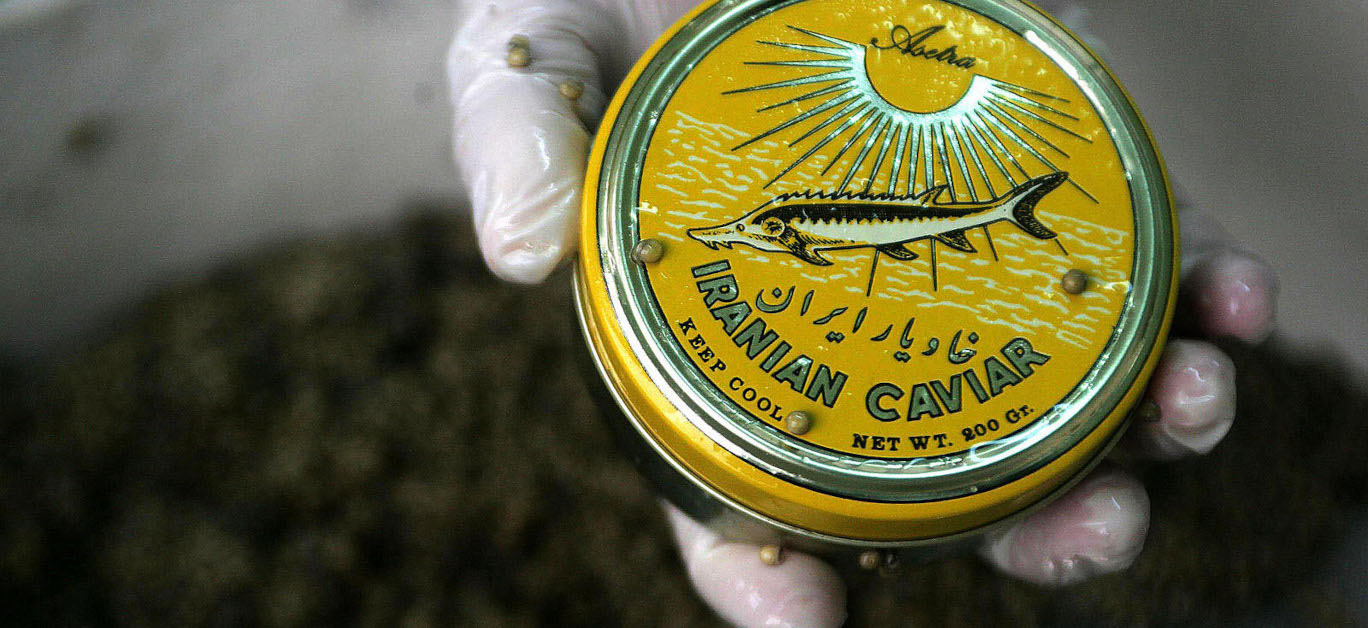 Persian Caviar