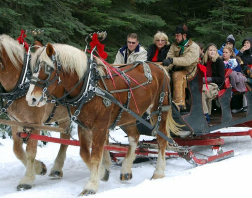 Horse sleigh at Tenaya lodge